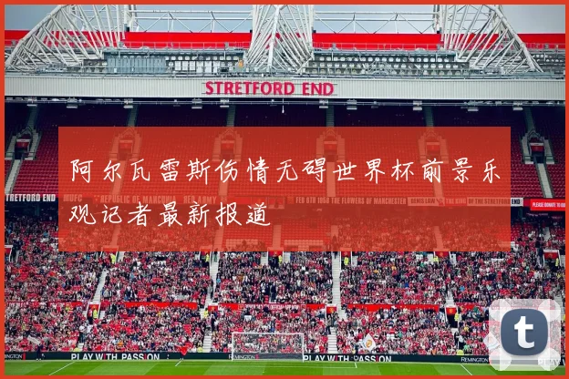 阿尔瓦雷斯伤情无碍世界杯前景乐观记者最新报道