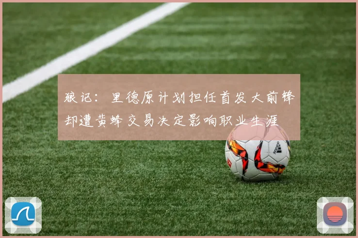 狼记：里德原计划担任首发大前锋却遭黄蜂交易决定影响职业生涯