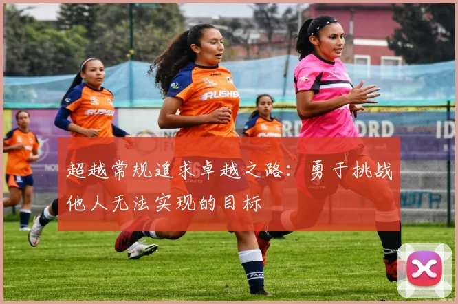 超越常规追求卓越之路：勇于挑战他人无法实现的目标