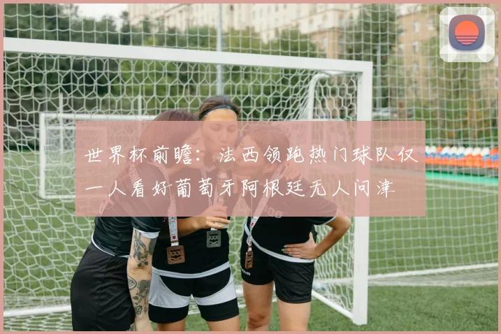 世界杯前瞻：法西领跑热门球队仅一人看好葡萄牙阿根廷无人问津
