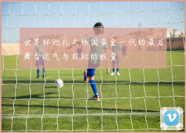 世界杯巡礼之韩国黄金一代的最后舞台运气与目标的较量